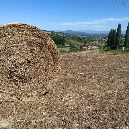 I Pini Montespertoli